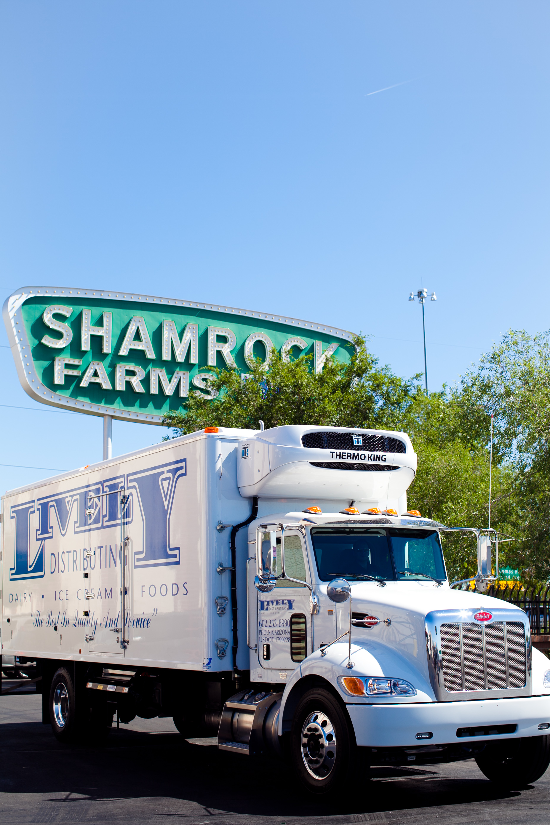 Wholesale Dairy Distributors