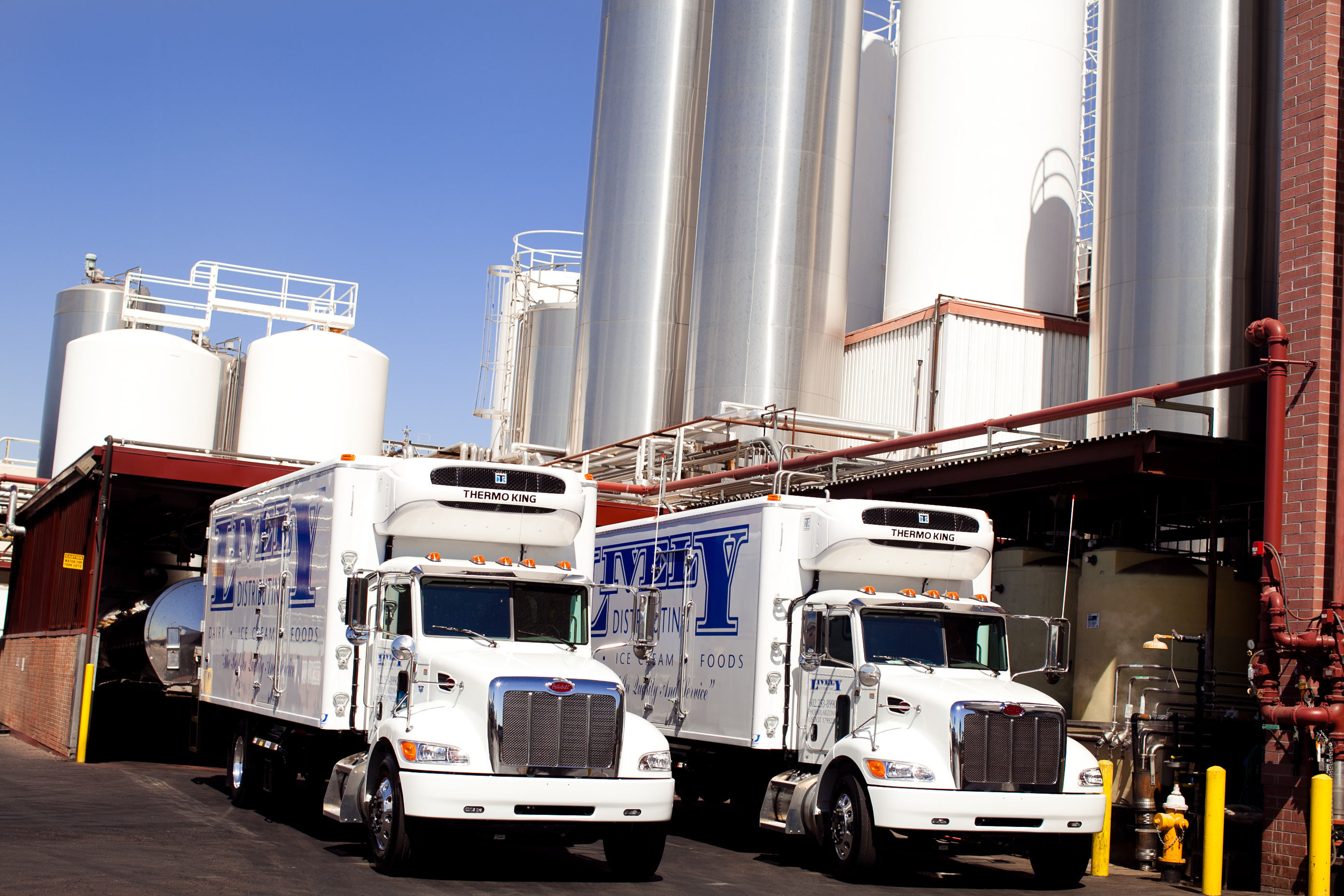 Dairy Products Distributing Service